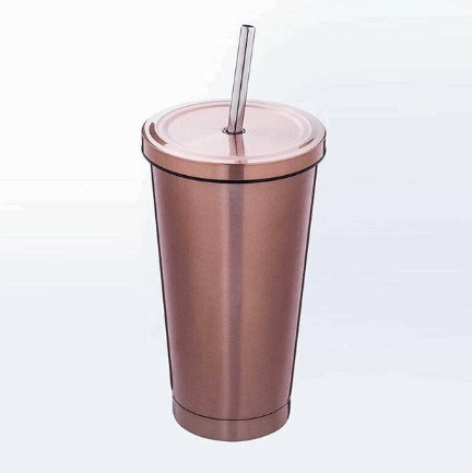 500ML Stainless Steel Empty Tumbler Coffee Cup Mug with Straw Lids Drinking Bottles - Inspiren-Ezone