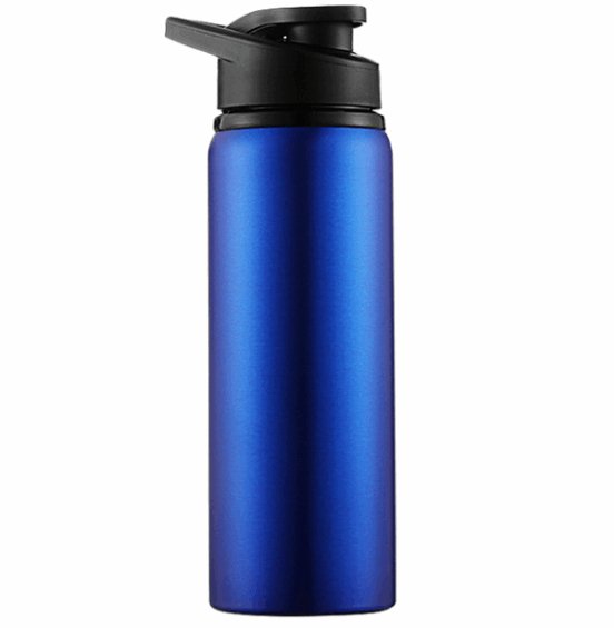 700ML Sports Water Bottle Stainless Steel - Inspiren-Ezone