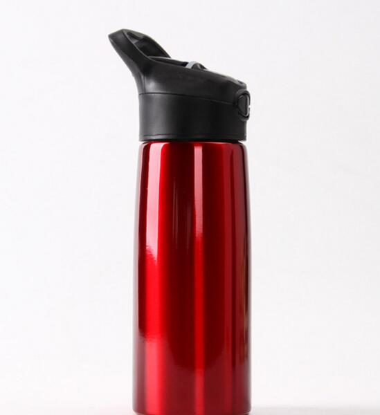 Stainless steel single-layer straw sports bottle - Inspiren-Ezone